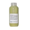 Davines MOMO Hair Potion Online