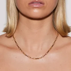 Emilia by Bon Dep Emilia - Thick Chain Necklace 45 cm Online