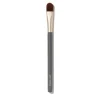 Jane Iredale Camouflage Brush Clearance